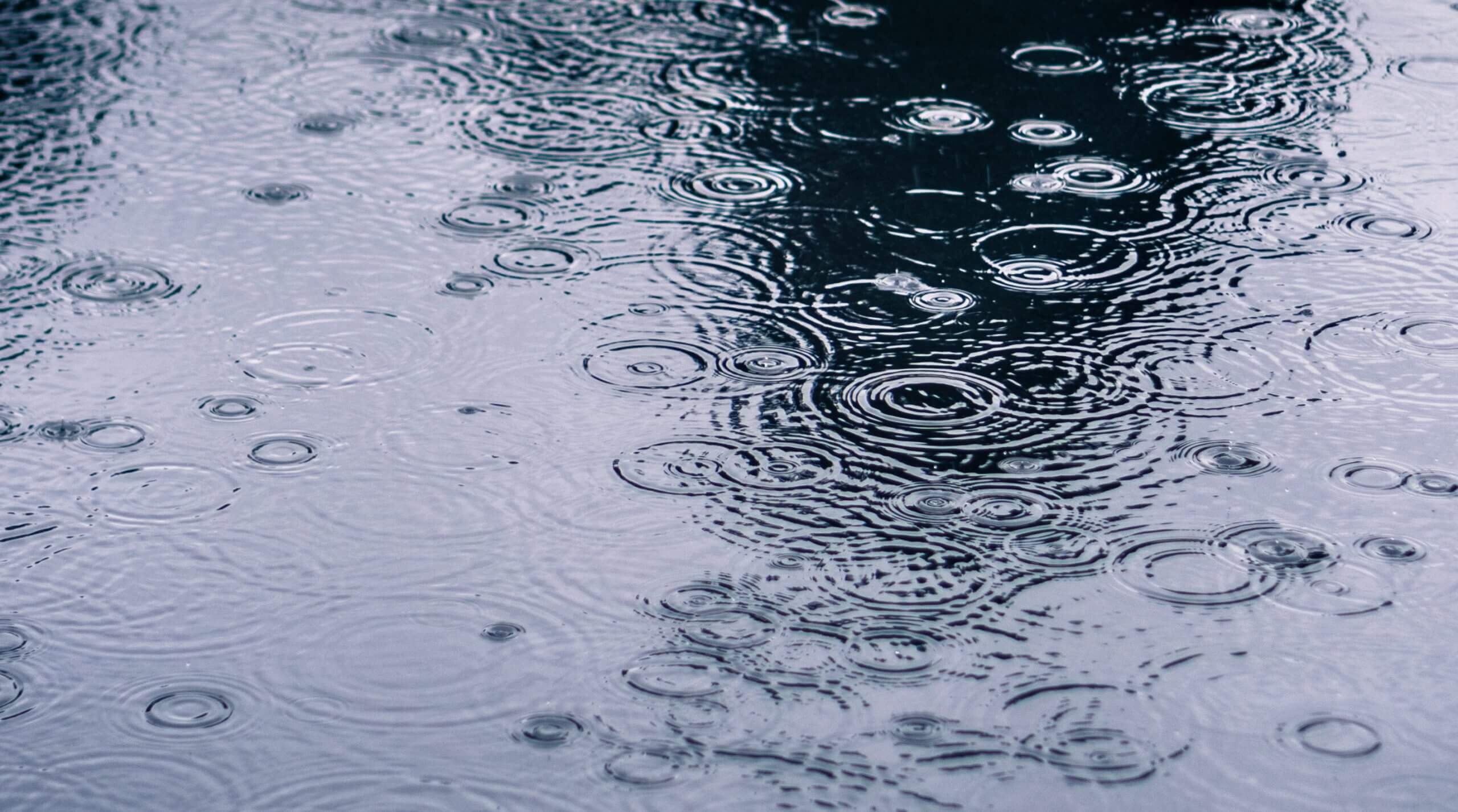 Rain drops rippling in a puddle on a dark, rainy day