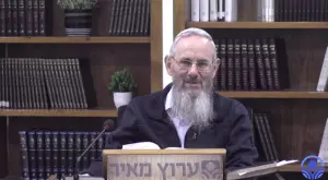 הרב דוד לנדאו FIX